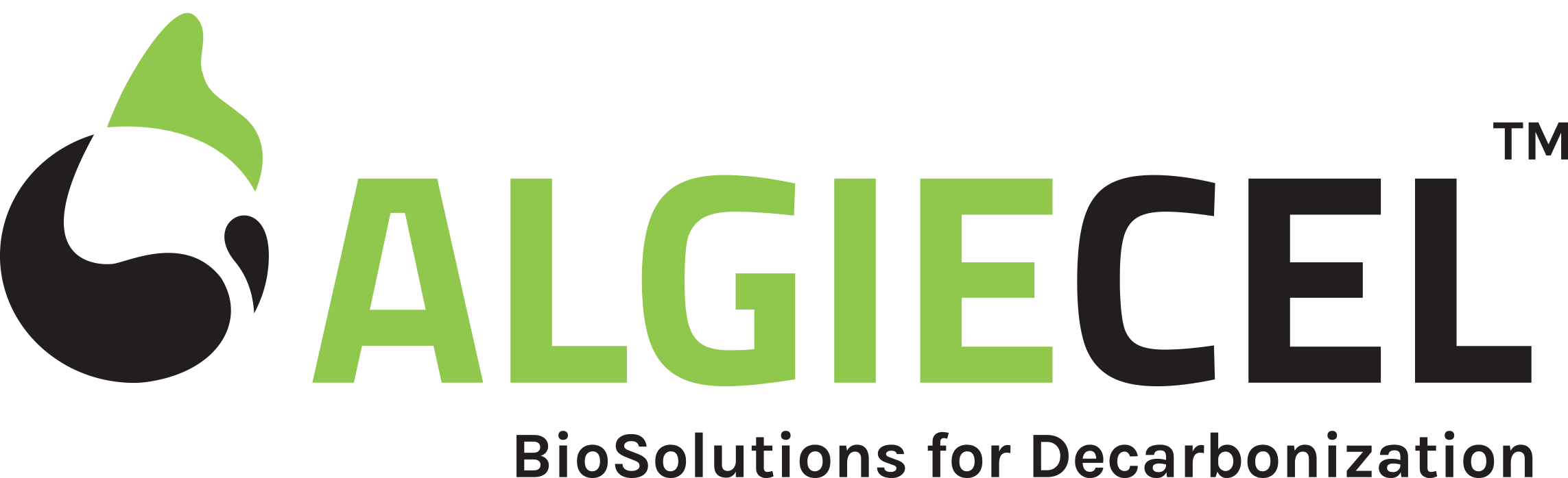 Logo algiecel