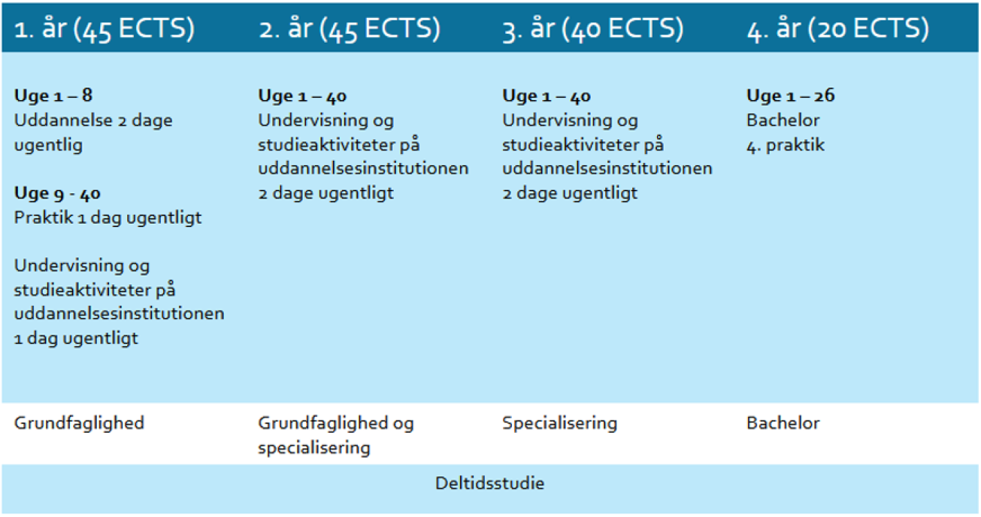 Figur der viser uddannelsens opbygning over 3,5 år