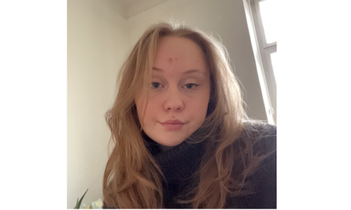 Studenterambassadør